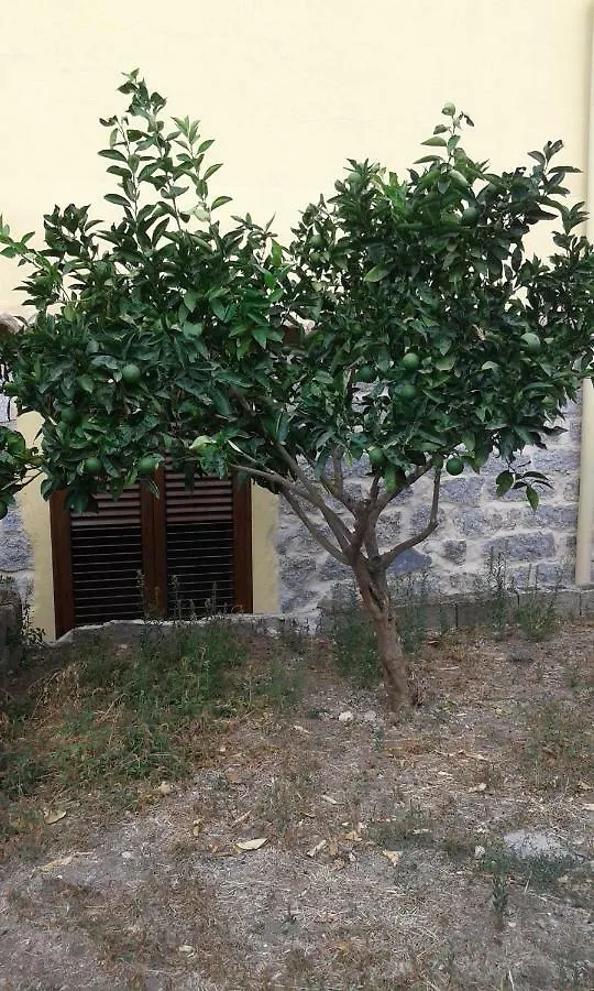 مبيت وإفطار Sarule La Collina Dei Ciliegi فندق مبيت وإفطار
