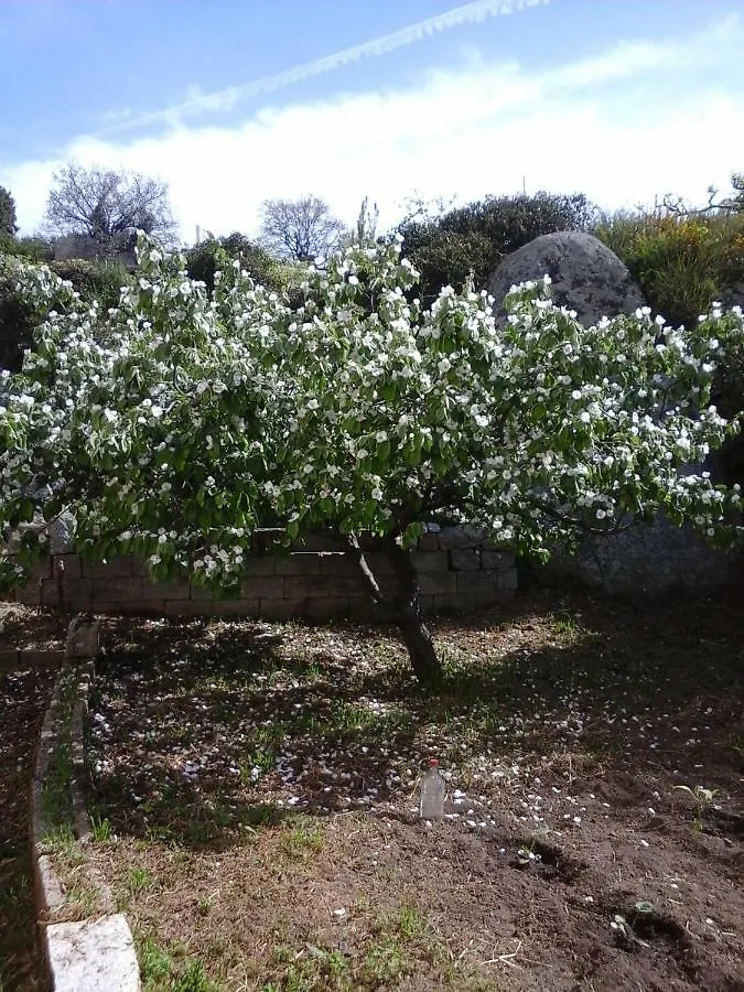 فندق مبيت وإفطار مبيت وإفطار Sarule La Collina Dei Ciliegi